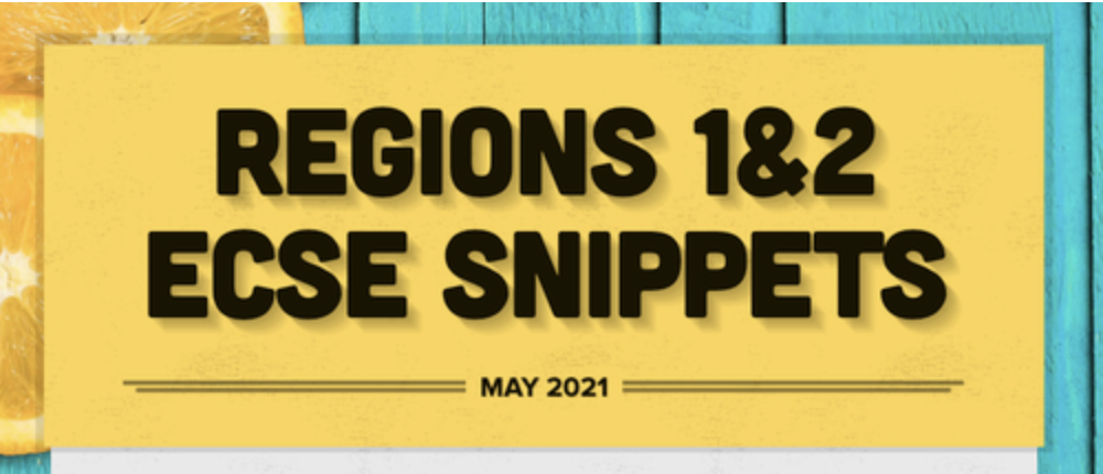 Regions 1 & 2 ECSE Snippets May 2021